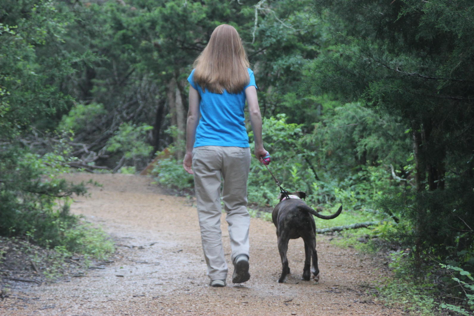 dogwalking at dogwood canyon